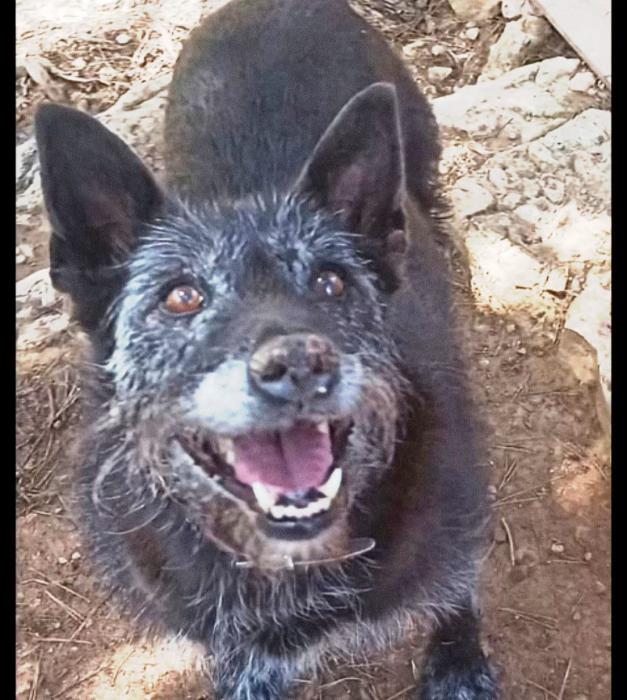 Tula